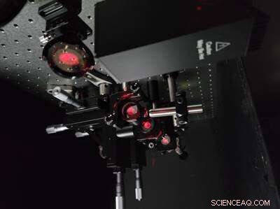 Trapping Light Efficiently: New Techniques for Solar and Photosynthetic Absorption