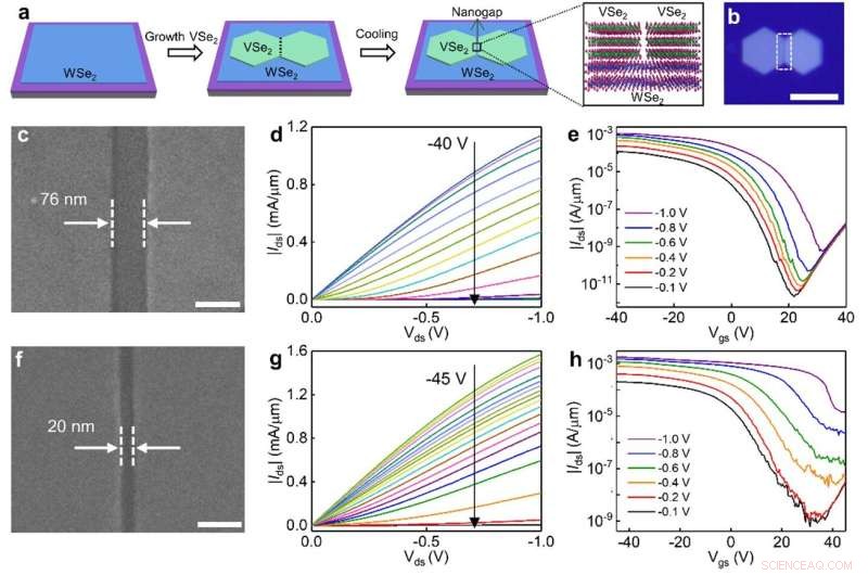 High‑Performance Bilayer WSe₂ Transistors Deliver ON‑State Currents Exceeding 1.5 mA/µm