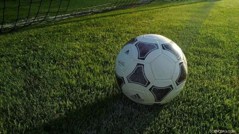 Forest Green Rovers: The World’s First Green Football Club Redefining Sustainability in Sports