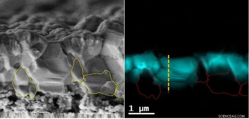 Unveiling Microscopic Carrier Loss in 12% Efficient Kesterite Solar Cells