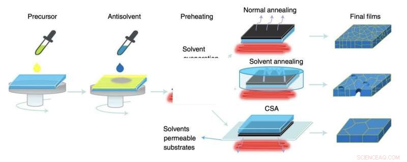 Enhancing Perovskite Absorbers for Efficient All‑Perovskite Tandem Solar Cells