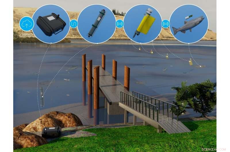 Accelerated Fish Tracking with Cloud-Enabled Receivers