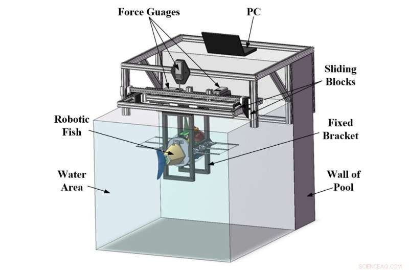 RobDact: A Bionic Underwater Vehicle Inspired by Dactylopteridae’s Pectoral Fins