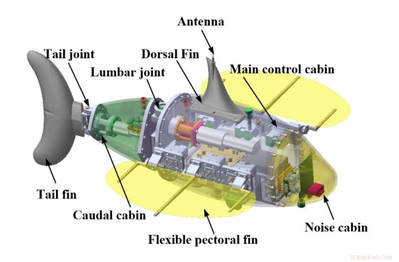 RobDact: A Bionic Underwater Vehicle Inspired by Dactylopteridae’s Pectoral Fins