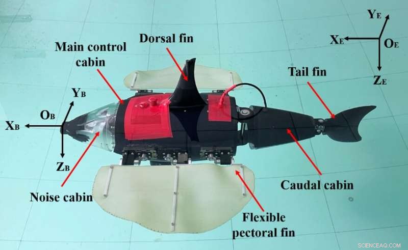 RobDact: A Bionic Underwater Vehicle Inspired by Dactylopteridae’s Pectoral Fins
