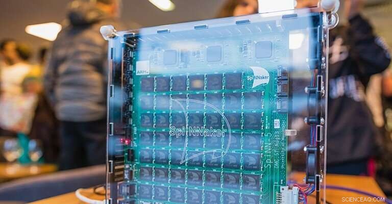 Unveiling Brain Mysteries with a Massive Supercomputer