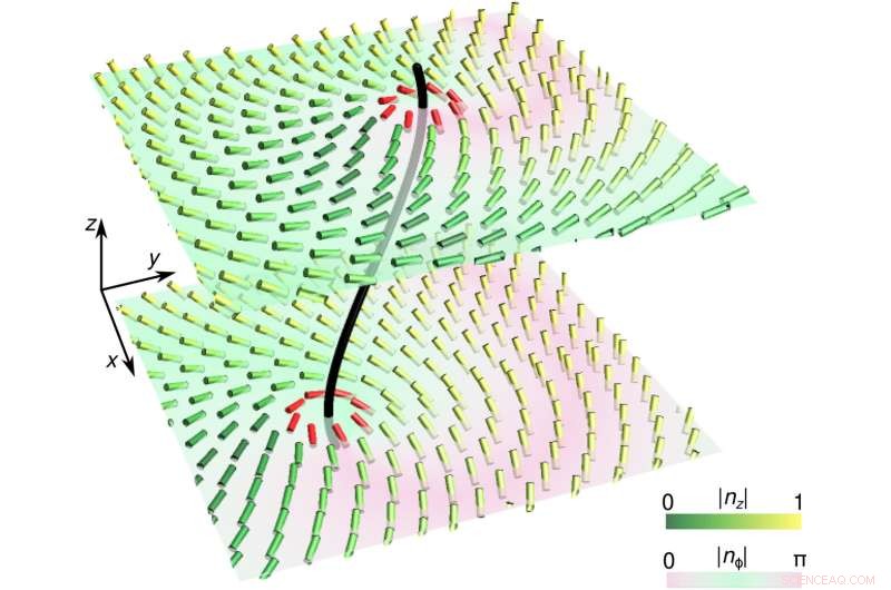 Scientists Propose Liquid Crystals as Building Blocks for Next-Generation Computing