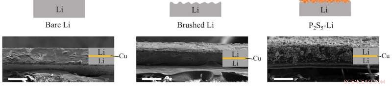 Brushing Thin Metal Films onto Lithium Electrodes Stops Dendrites and Boosts Battery Life