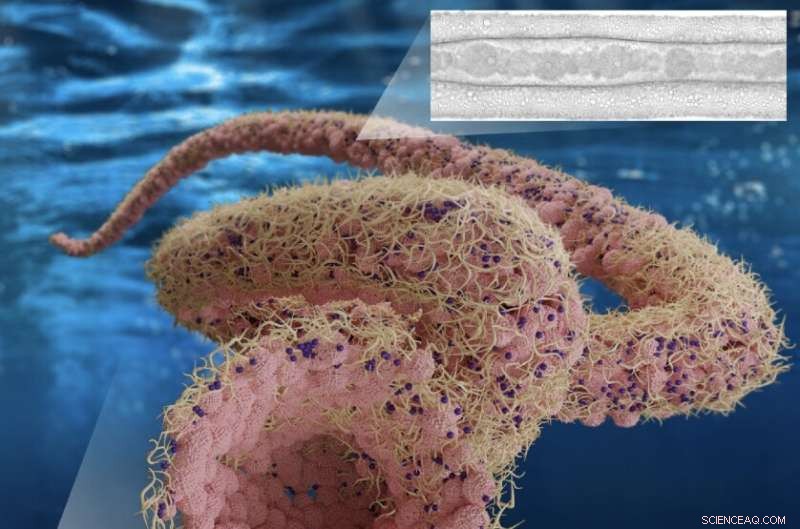 Aquabots: Ultra‑Soft Liquid Robots Revolutionizing Biomedical and Environmental Solutions