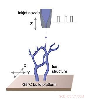 Revolutionizing Biomanufacturing: 3D-Printed Microscale Ice Structures for Advanced Applications
