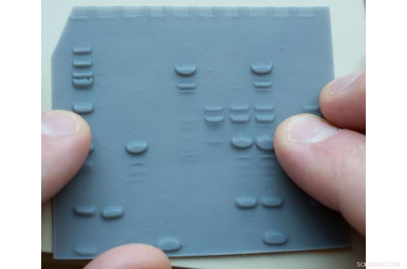 3D‑Printed Lithophanes Enable Tactile Data Access for Visually Impaired Scientists