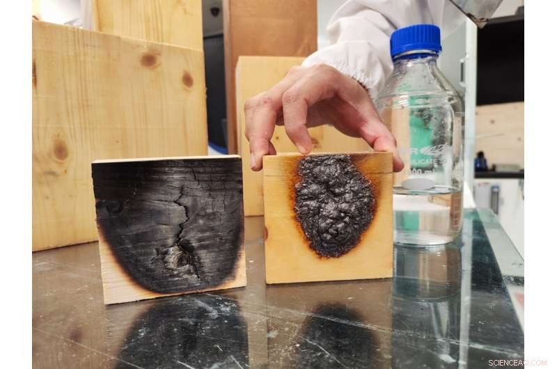 NTU Scientists Develop Invisible Fire-Resistant Coating for Wood