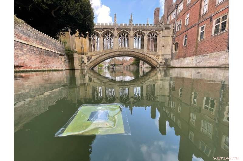 Floating Artificial Leaves Convert Sunlight into Clean Fuel