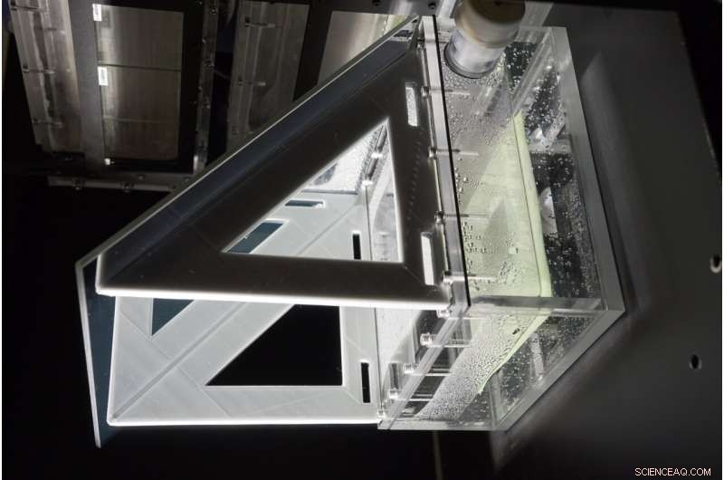 Floating Artificial Leaves Convert Sunlight into Clean Fuel