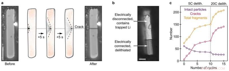 Guiding Next-Gen Battery Development with Faster, Longer-Lasting Technologies