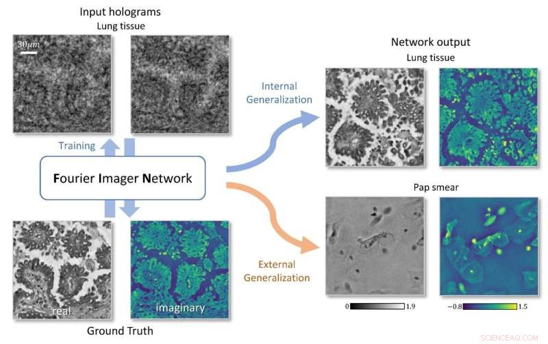 Advanced Phase Recovery & Hologram Reconstruction with the Fourier Imager Network