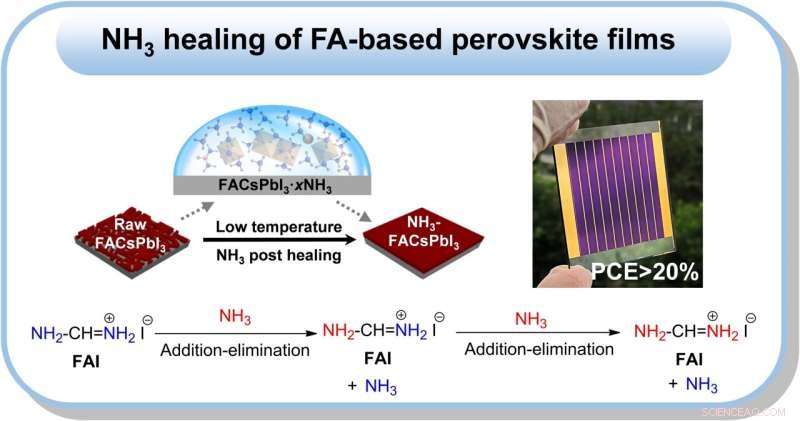 Ammonia Treatment Enhances Perovskite Film Performance for Solar Panels