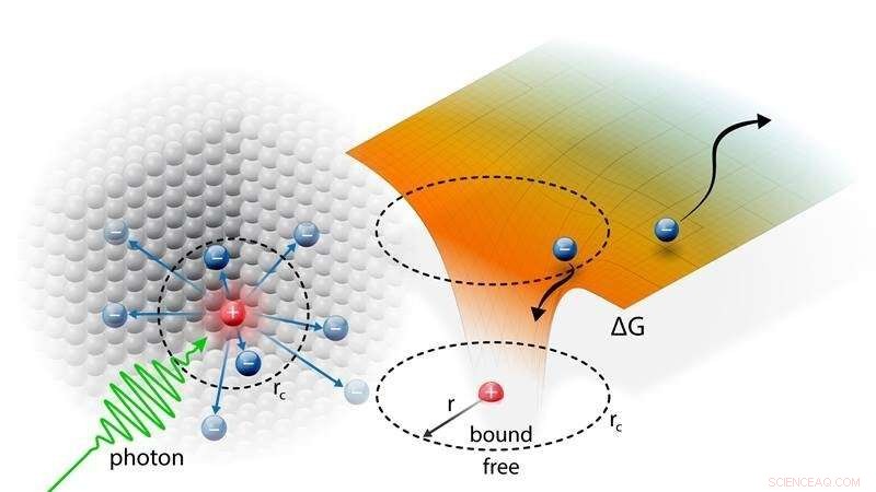 Separating Excitons for Efficient Free Carrier Generation in Organic Solar Cells