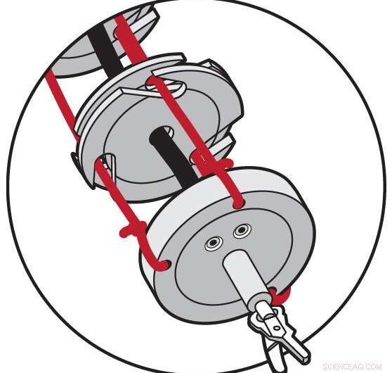 Revolutionary Slender Snake‑Like Robot Offers Surgeons New Life‑Saving Techniques