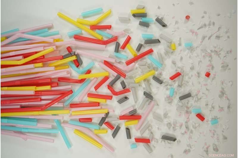 Eco‑Friendly Microplastic Filter Removes Waterborne Microplastics—Clean Tech That Protects the Environment