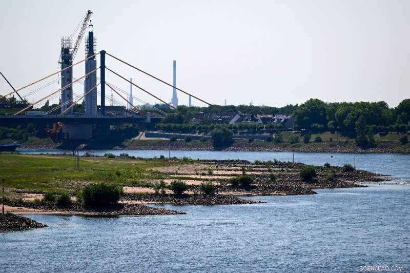 Low Rhine Water Levels Intensify Germany s Energy Crisis