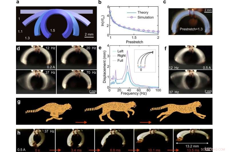 Tiny Electromechanical Robots: Speeding Beyond Cheetahs for Their Size