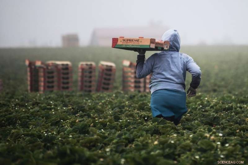 Revolutionizing Food Safety: How AI Eliminates Contamination Risks