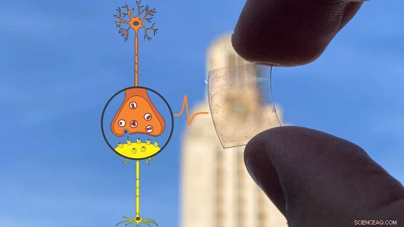 Graphene‑Based Synapses Propel Brain‑Inspired Computing Forward