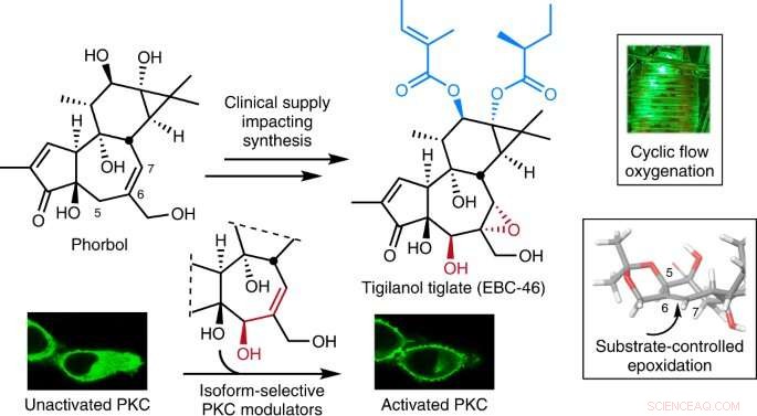 Stanford Researchers Pioneer Rapid, Sustainable Synthesis of a Promising Cancer Drug