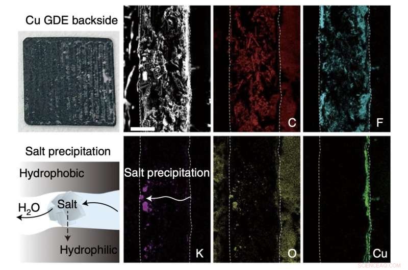 Bifunctional Ionomer Electrolytes for Efficient CO₂-to-Ethylene Conversion
