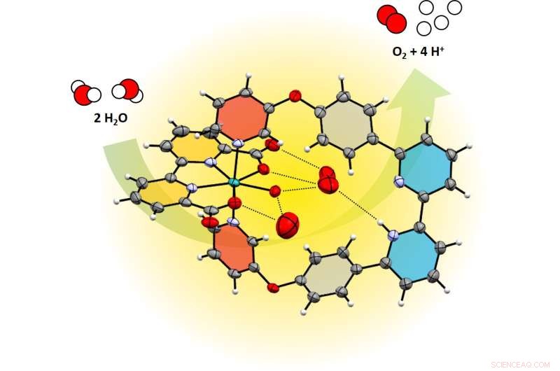Artificial Enzyme Boosts Water Splitting Efficiency for Clean Energy