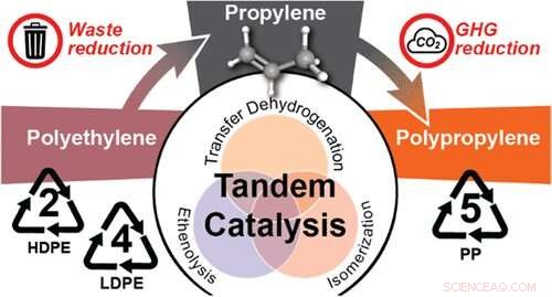 New Process Turns Polyethylene into Polypropylene, Cutting Greenhouse Gas Emissions