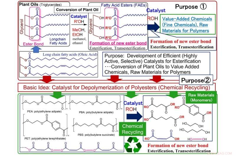 High-Performance Catalyst Enables Efficient Polyester Dissolution for Chemical Recycling