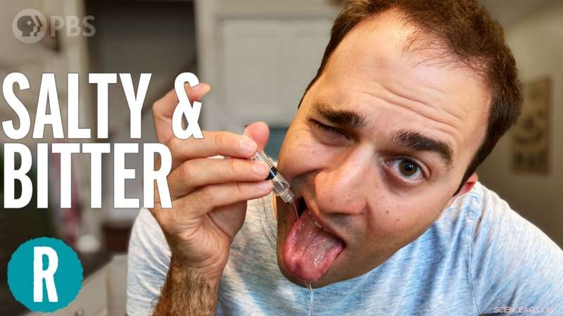 The Science Behind Salt’s Flavor-Enhancing Power