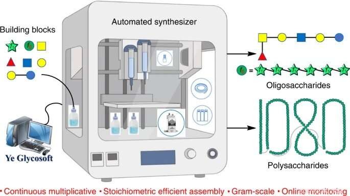 New Automated Synthesizer Creates Record-Long Polysaccharides