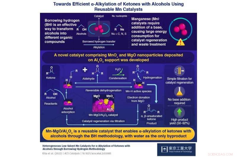 Cost‑Effective, Recyclable Manganese Catalysts Enable High‑Yield Alkylation of Ketones with Alcohols