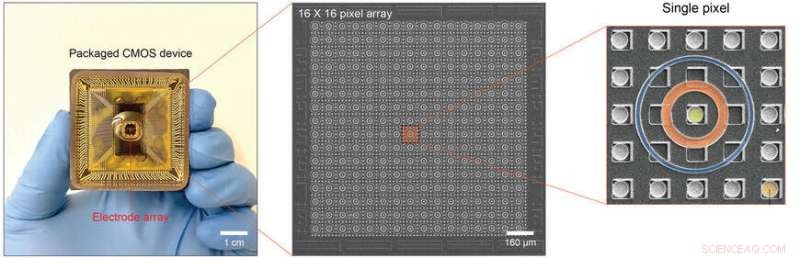 Researchers Pioneer Water-Based Neural Network Computing Using Ionic Circuits