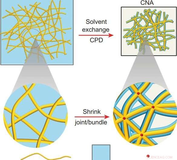 Scientists Create Ultra‑Strong Aerogels Using Bullet‑Proof Vest Materials
