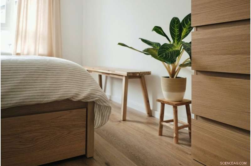 New Study Reveals How to Suppress Carcinogenic Formaldehyde from Household Wood