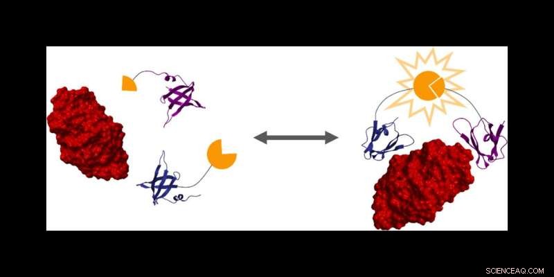 Decoding Cellular Decision-Making: How Cells Differentiate