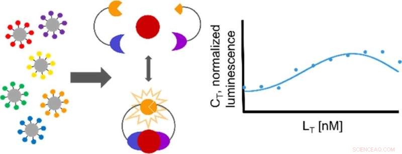 Decoding Cellular Decision-Making: How Cells Differentiate