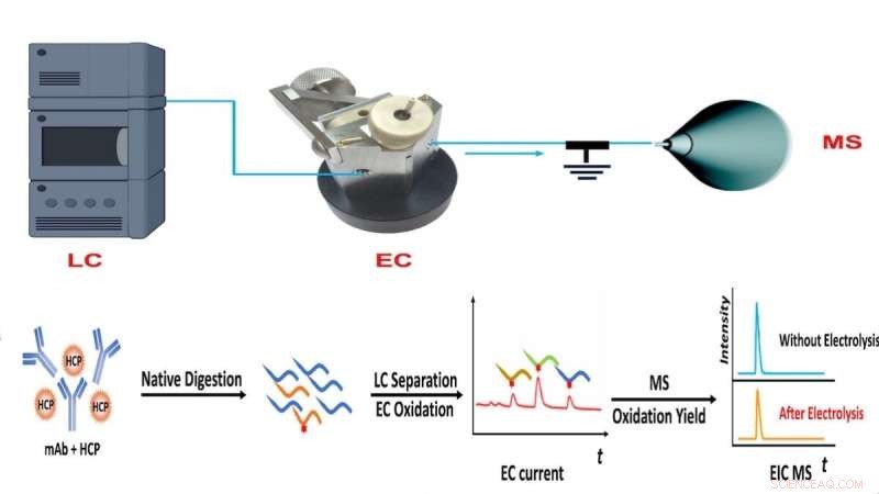 NJIT Scientists Introduce Breakthrough LC‑EC‑MS Technique for Protein Drug Testing