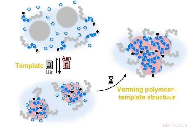 Switchable Templates Enable Precise Control of Polymerization On/Off