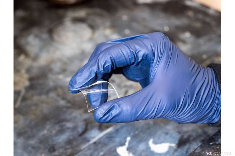 Chemical Recycling Lets Future Plastics Reclaim Their Past Lives