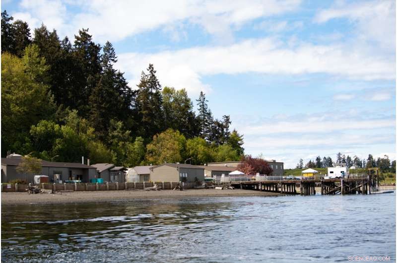 New Simple Process Extracts Valuable Magnesium Salts from Seawater