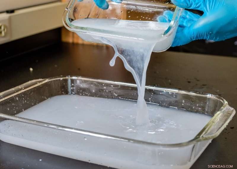 Biodegradable Wood‑Fiber Film: A Sustainable Alternative to Single‑Use Plastic