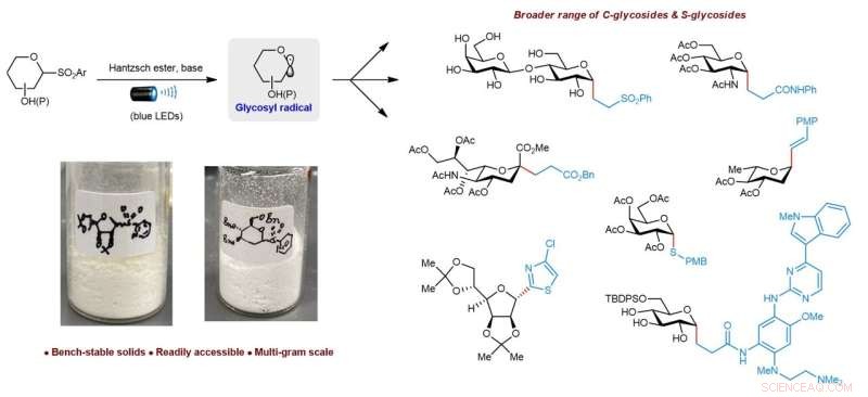Harnessing Visible Light to Convert Bench-Stable Sulfones into High-Value Glycosides