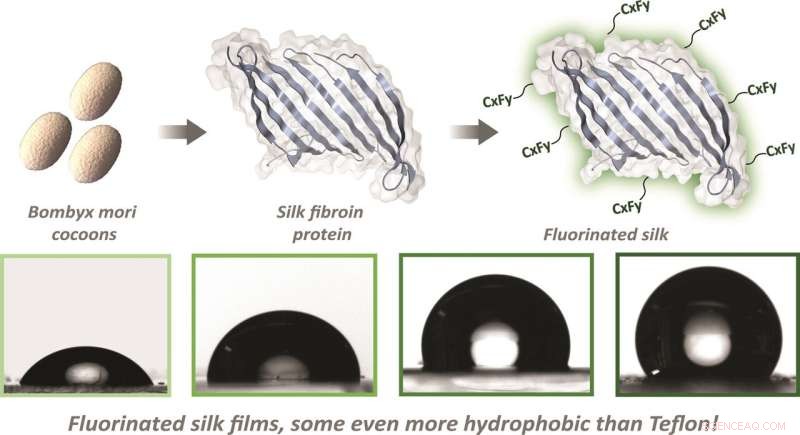 Tufts Researchers Engineer Silk-Based Nonstick Surfaces with Superior Hydrophobicity