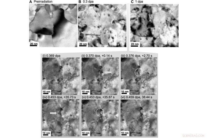 Unraveling How Radiation Diminishes Metals: An Atomic-Level Investigation