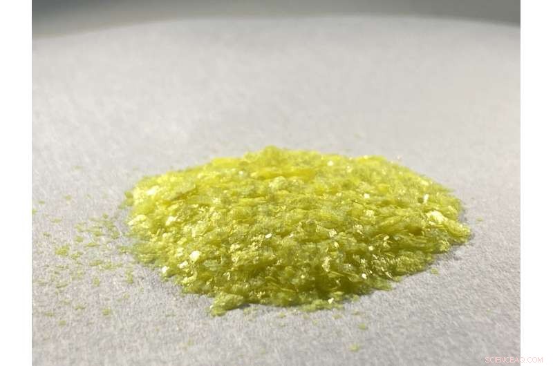 Evaluating the Antiviral Potential of Salen Against SARS‑CoV‑2 Proteins